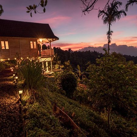 Bed and Breakfast Garden Terrace Bali Gobleg  Exterior foto