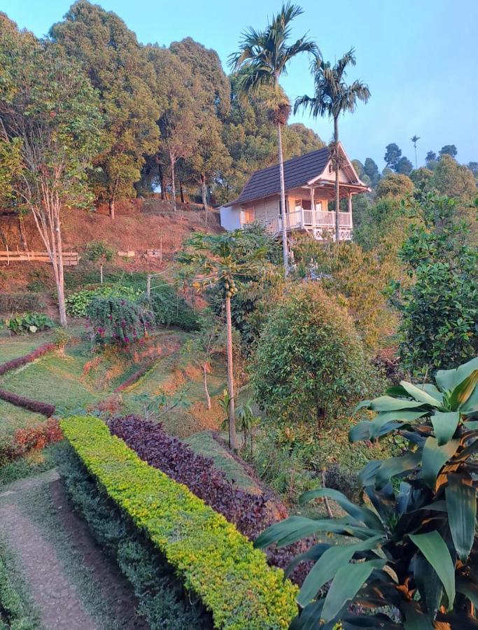 Bed and Breakfast Garden Terrace Bali Gobleg  Exterior foto