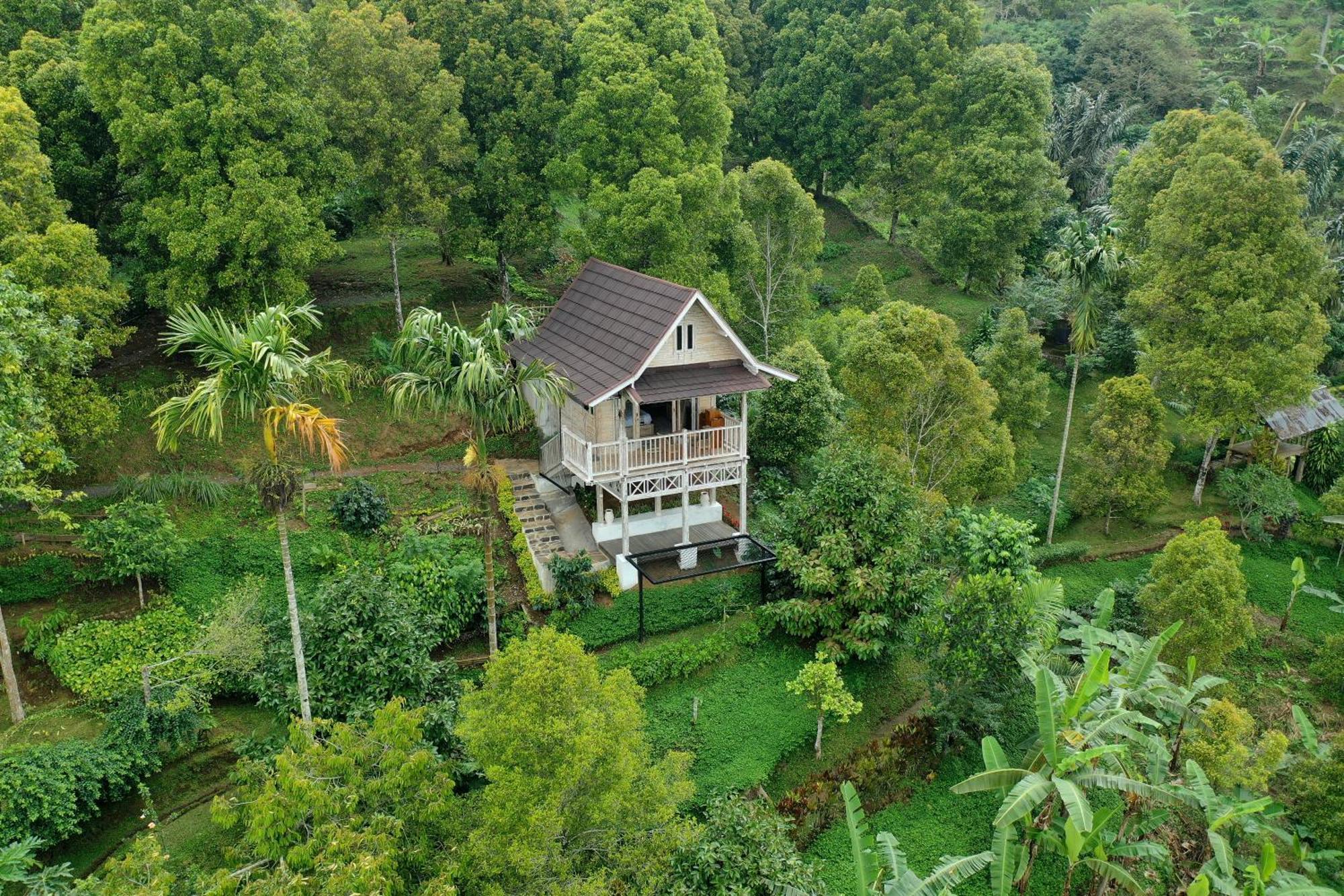 Bed and Breakfast Garden Terrace Bali Gobleg  Exterior foto