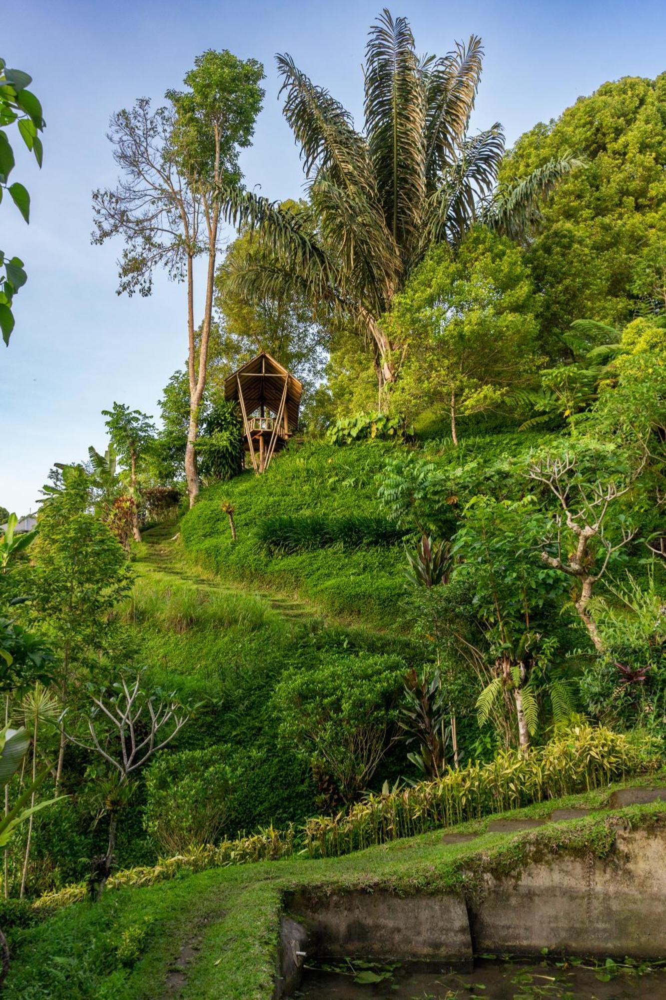 Bed and Breakfast Garden Terrace Bali Gobleg  Exterior foto