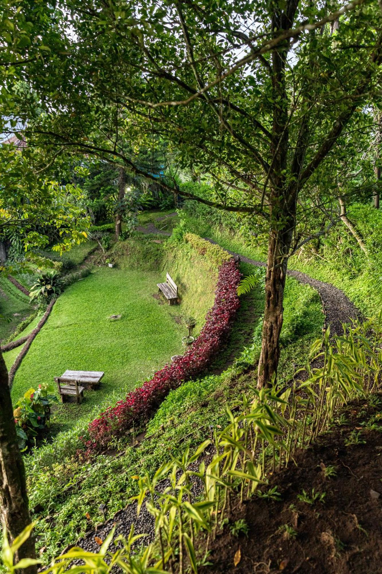 Bed and Breakfast Garden Terrace Bali Gobleg  Exterior foto
