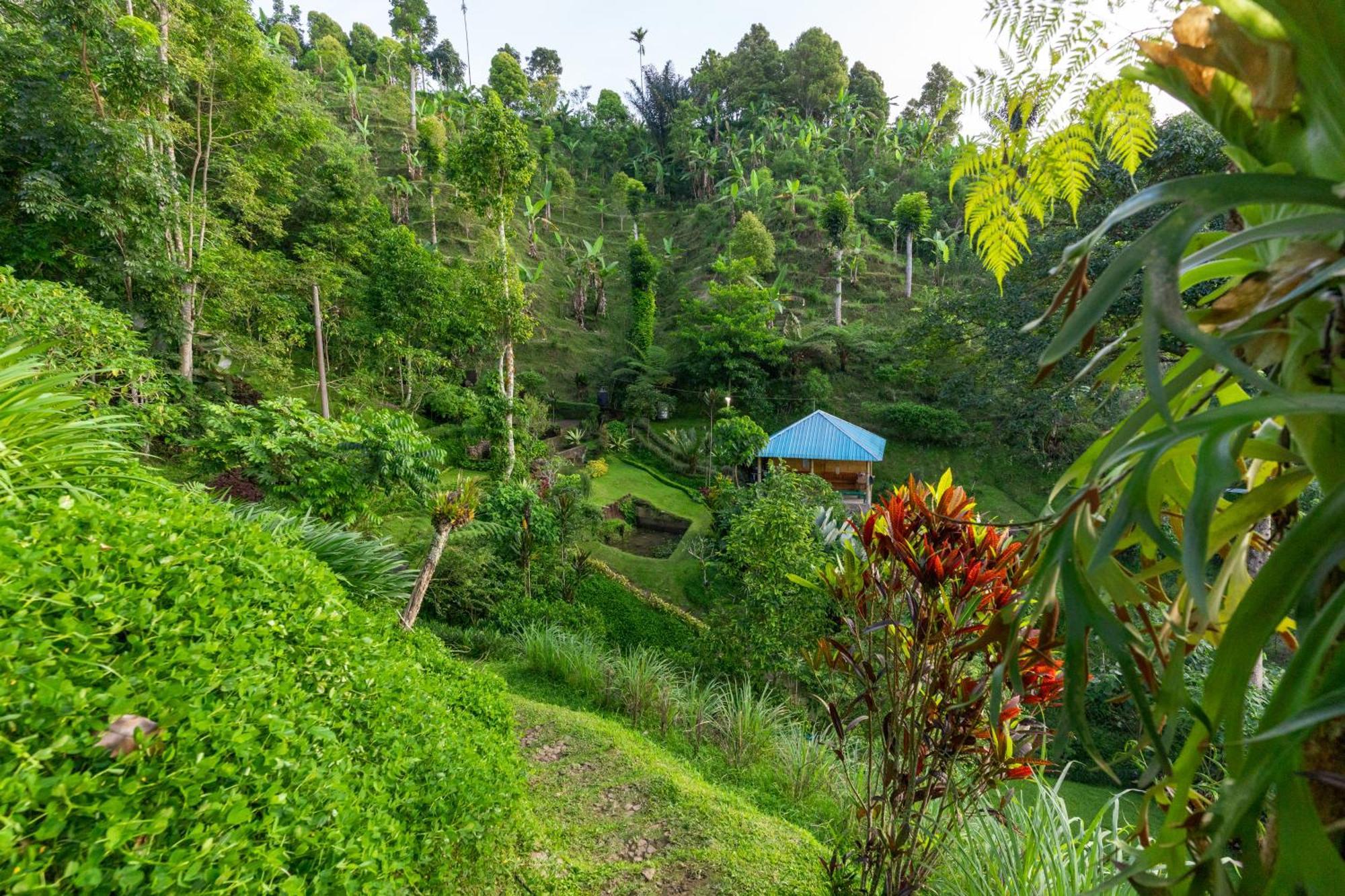 Bed and Breakfast Garden Terrace Bali Gobleg  Exterior foto