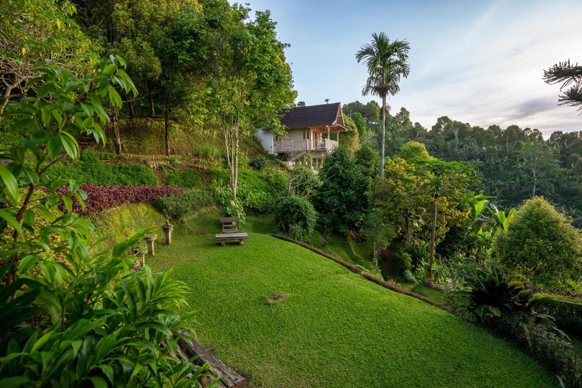 Bed and Breakfast Garden Terrace Bali Gobleg  Exterior foto