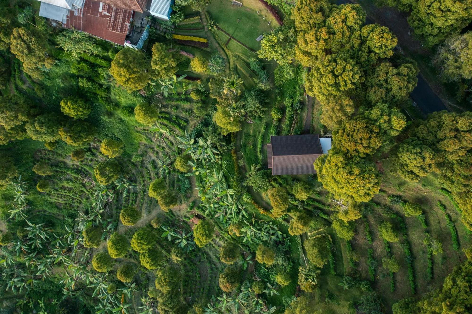 Bed and Breakfast Garden Terrace Bali Gobleg  Exterior foto